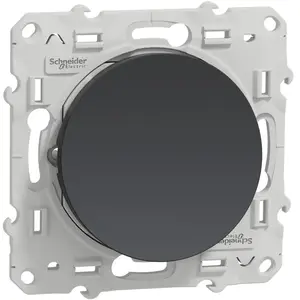 Comparateur de prix : Schneider - poussoir odace anthracite 10a 'a vis