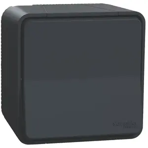 Comparateur de prix : Va-et-vient étanche complet SCHNEIDER MUR35021 Mureva IP55