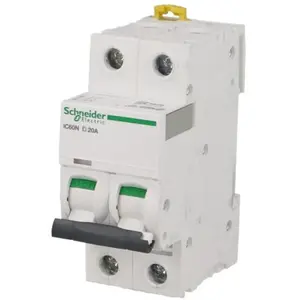 Comparateur de prix : Schneider Schneider A9F75202 Disjoncteur 2P 2A courbe D Acti9 IC60N