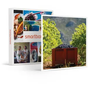 Comparateur de prix : Smartbox - Atelier Initiation et Dégustation Vin Biologique en Domaine...