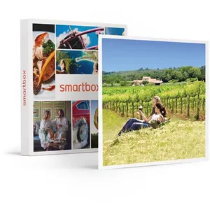 Comparateur de prix : Sur la route des vins - SMARTBOX - Coffret Cadeau Séjour TU