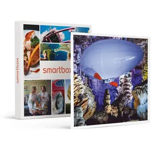 Smartbox - Coffret Cadeau Vol en aéroplume de 20 min avec 1 accompagna... pas cher