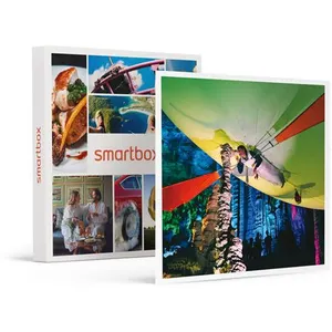 - Coffret Cadeau Vol en aéroplume de 20 min avec 2 accompagnants au so...
