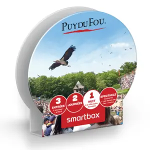 SmartBox Séjour en Famille à la Villa Gallo-Romaine 2023Vendu parfnac