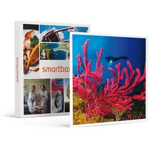 Smartbox - Coffret Cadeau Baptême de plongée passionnant de 3h en duo au large ... pas cher