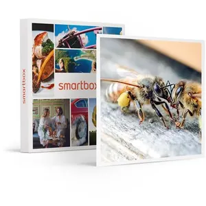Smartbox Coffret Cadeau - Parrainage de ruche et extraction de miel près de Nan... pas cher