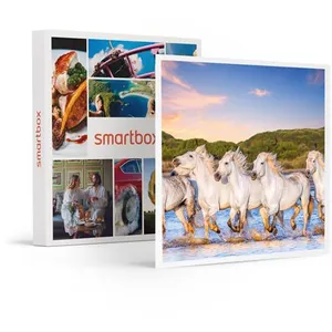 Comparateur de prix : Smartbox - Coffret Cadeau Séjour romantique : 2 jours dans un hôtel en Camargue-Séjour