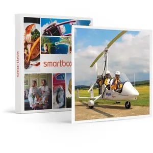 - Coffret Cadeau Vol en ULM dans les environs de Meaux et Disneyland P...