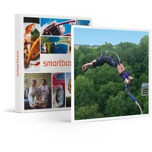 Smartbox - Coffret Cadeau Saut à l'élastique en tandem au viaduc de Saint-Georg... pas cher