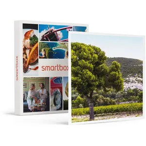 Smartbox - Coffret Cadeau Box onologie : 6 bouteilles de vin rosé livr... pas cher