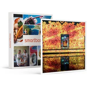 SMARTBOX - Coffret Cadeau Découverte en famille des Bassins des Lumièr... pas cher