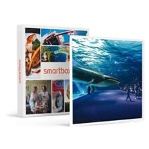Comparateur de prix : Smartbox Coffret Cadeau - A la découverte des secrets de l'océan : 2 e...