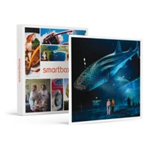 Smartbox Coffret Cadeau - Sortie en famille : entrées pour 2 adultes e... pas cher