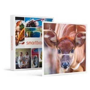 Smartbox Coffret Cadeau - Journée d'expédition : entrée pour 2 adultes... pas cher