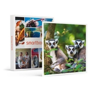 Smartbox Coffret Cadeau - Journée zoo en famille pour 1 adulte et 2 en... pas cher