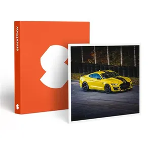 SMARTBOX - Coffret Cadeau Stage de pilotage : 5 tours sur le circuit d... pas cher