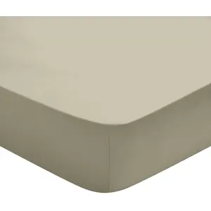 Dodo - drap housse 160x200 studio coton marron glacé