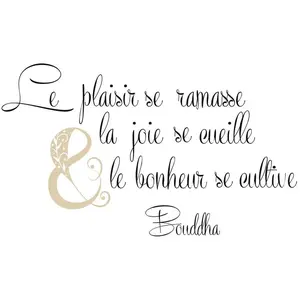 Comparateur de prix : Stickers Muraux Zen Citation Bouddha