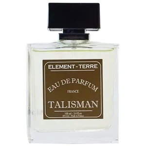 ELEMENTERRE ELEMENT-TERRE Eau de Parfum Talisman - Homme - 100 ml pas cher