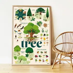 Poppik Poster en stickers arbre poppi pas cher