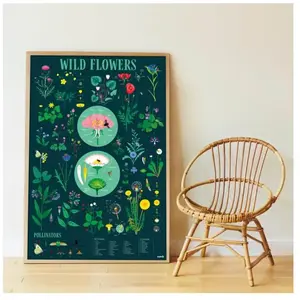 Comparateur de prix : Poppik Poster découverte avec stickers Botanique