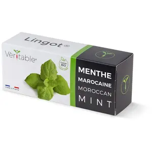 Véritable Recharge jardin d'intérieur VERITABLE menthe marocaine bio pas cher