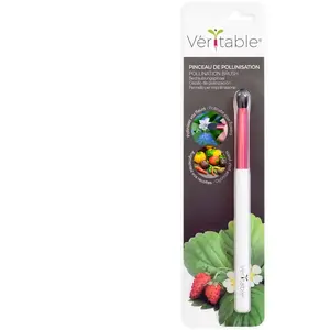 Véritable VERITABLE POLLENIZATION BRUSH pas cher