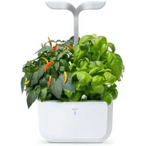 VERITABLE Véritable - Potager Autonome EXKY SMART Arctic White - 2 Lingots inclus pas cher