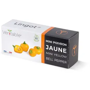 Véritable Lingot Mini poivron jaune BIO pour potager d'intérieur