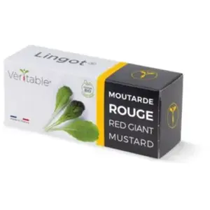 Lingot moutarde rouge bio - Cartouche de graine pour potager d''intérieur - Véritable pas cher