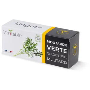 Véritable Lingot Moutarde Verte BIO - Recharge prête à l'emploi pas cher