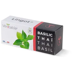 VERITABLE Véritable Lingot Basilic Thaï Bio pour potager d'intérieur pas cher