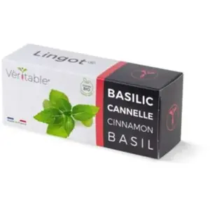 Véritable Lingot Basilic Cannelle BIO - Recharge prête à l'emploi