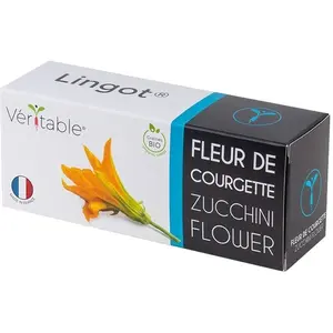 VERITABLE Véritable Lingot Fleur de Courgette BIO pour potager d'intérieur pas cher