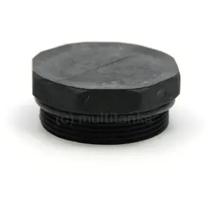 CPP Raccord G2 Bouchon - male 2'' BSP pas cher