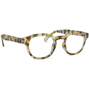 Comparateur de prix : Izipizi Reading #C Blue Tortoise