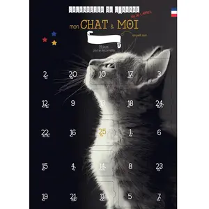 Non communiqué Calendrier de l'avant ou de l'après mon chat et moi noir et blanc 25 astuces et jeux sans objet