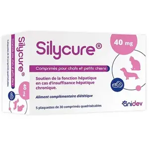 Anidev Silycure 40mg 150 Comprimés