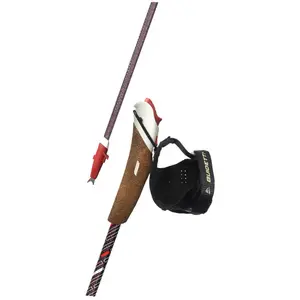 Comparateur de prix : Bâton de marche nordique Guidetti VDF NanoC3K 85 Boreal Marron 125 cm R30700