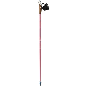 Comparateur de prix : Bâton de marche nordique Guidetti Vent des Fjords UT70 Steppe Rose 105 cm R30660105