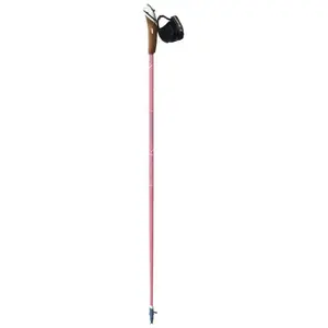 Comparateur de prix : Guidetti Vent des Fjords Ultra Tech 70 - Bâtons marche nordique Steppe 110 cm