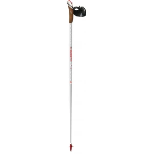 Comparateur de prix : Bâton de marche nordique Guidetti VDF UT100 Titanium Edition Gris 100 cm R30630