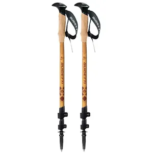 Comparateur de prix : Bâton de randonnée Guidetti Terre de Trek Evasion Marron 62/135 cm R10800