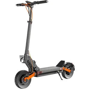 Trottinette Électrique Wiizzee Ws11 MaxVendu paramazon