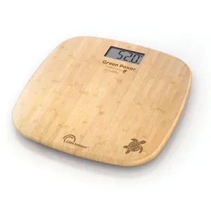 Comparateur de prix : Little Balance Soft Bambou Tortue USB-R