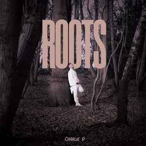 DUBQUAKE RECORDS Roots pas cher