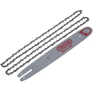 JARDIAFFAIRES Combo Oregon gamme Pro guide 40cm 160SXEA074 + 2 chaines 91VXL055EVendu paramazon