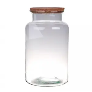 NATURALYS Terrarium Bose 30cm - Bouchon Liège pas cher