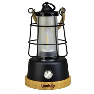 Comparateur de prix : LUMISKY Lanterne sans fil anse en corde LED blanc chaud/dimmable WILDY H23cm