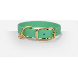 Collier pour Chien pas cher